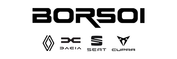 Logo Borsoi - Sponsor di Green Motor Village